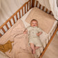 Set Loek